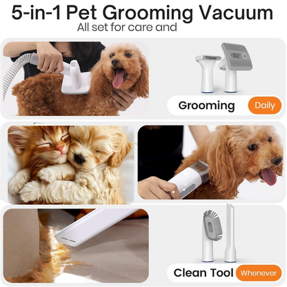 🐾 Calm Grooming at Home — No Stress, No Fur Everywhere